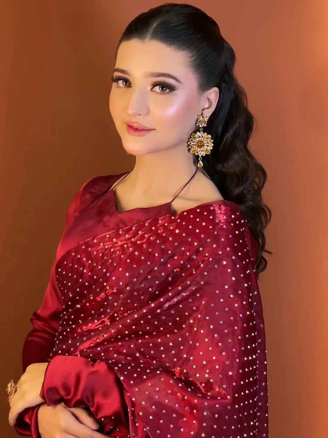Scarlet Stardust Saree
