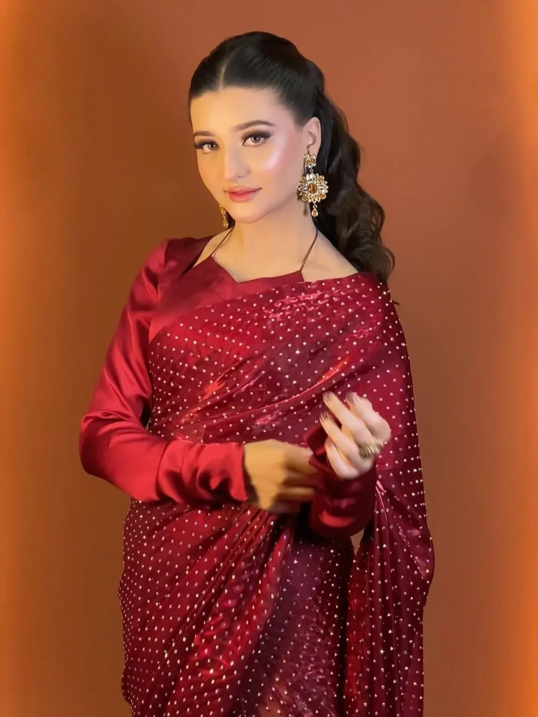Scarlet Stardust Saree